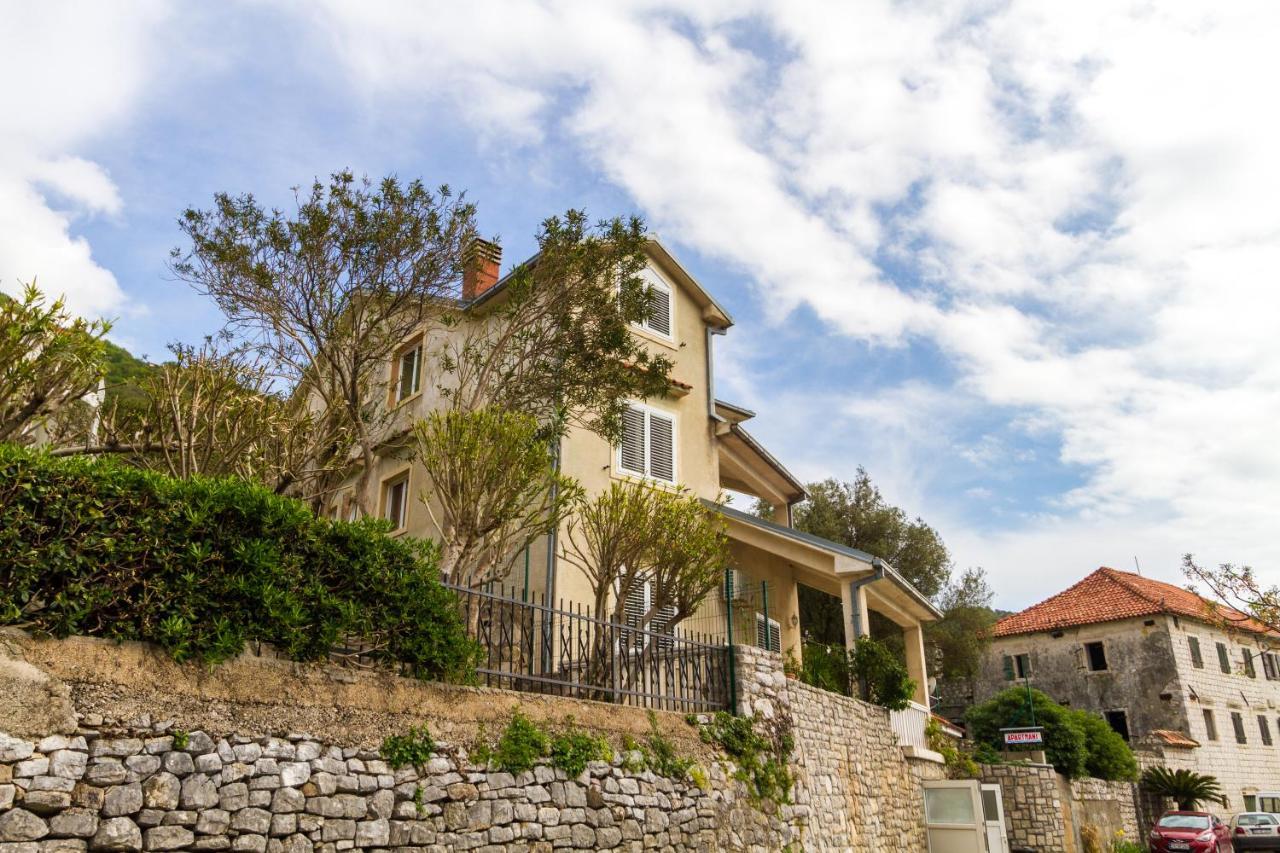 Apartmani Vesna Tivat Exterior photo