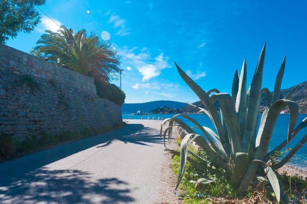 Apartmani Vesna Tivat Exterior photo